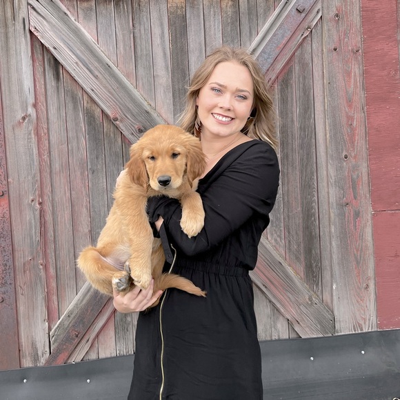 Meet your Posher, Taylor - Picture 1 of 1